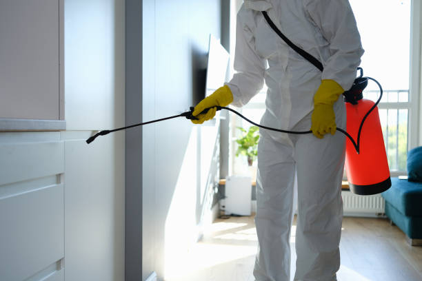 Reliable Savannah, TN Mold Removal Solutions