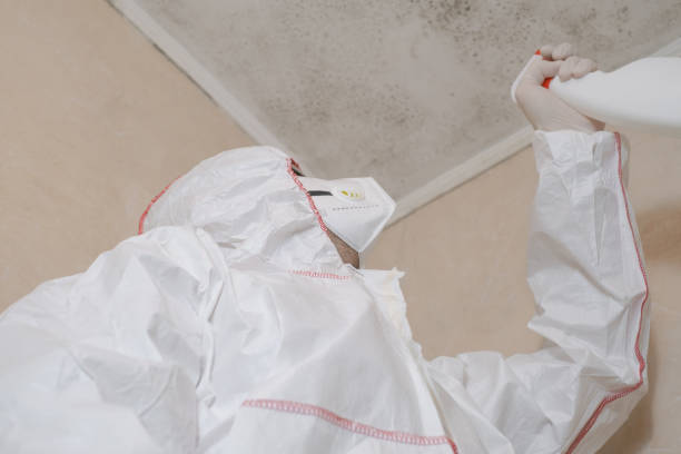 Mold Testing and Removal in Savannah, TN