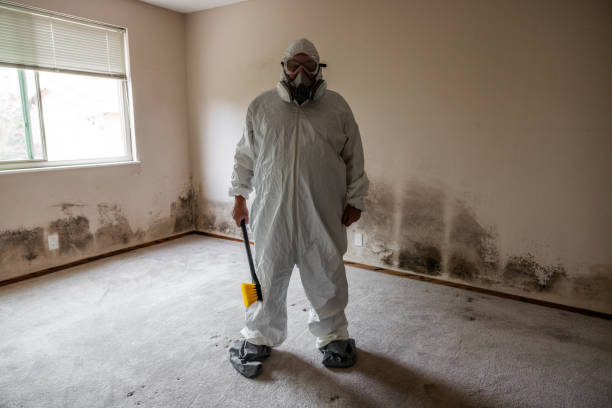 Best Black Mold Removal  in Savannah, TN